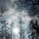 Sonne kämpft sich vor Wolken hervor