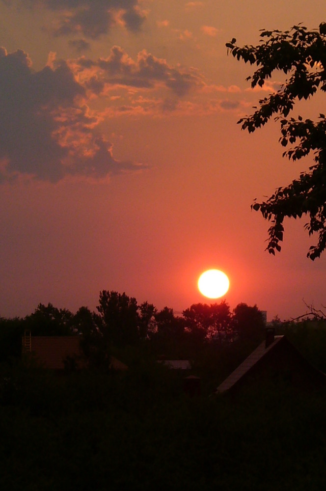 Sonne kann nicht ohne Schein, Mensch nicht ohne Liebe sein.