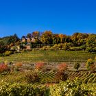 Sonne. Klare Luft. Herbst