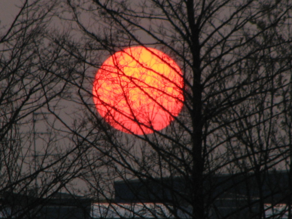 Sonne.... komm bald wieder