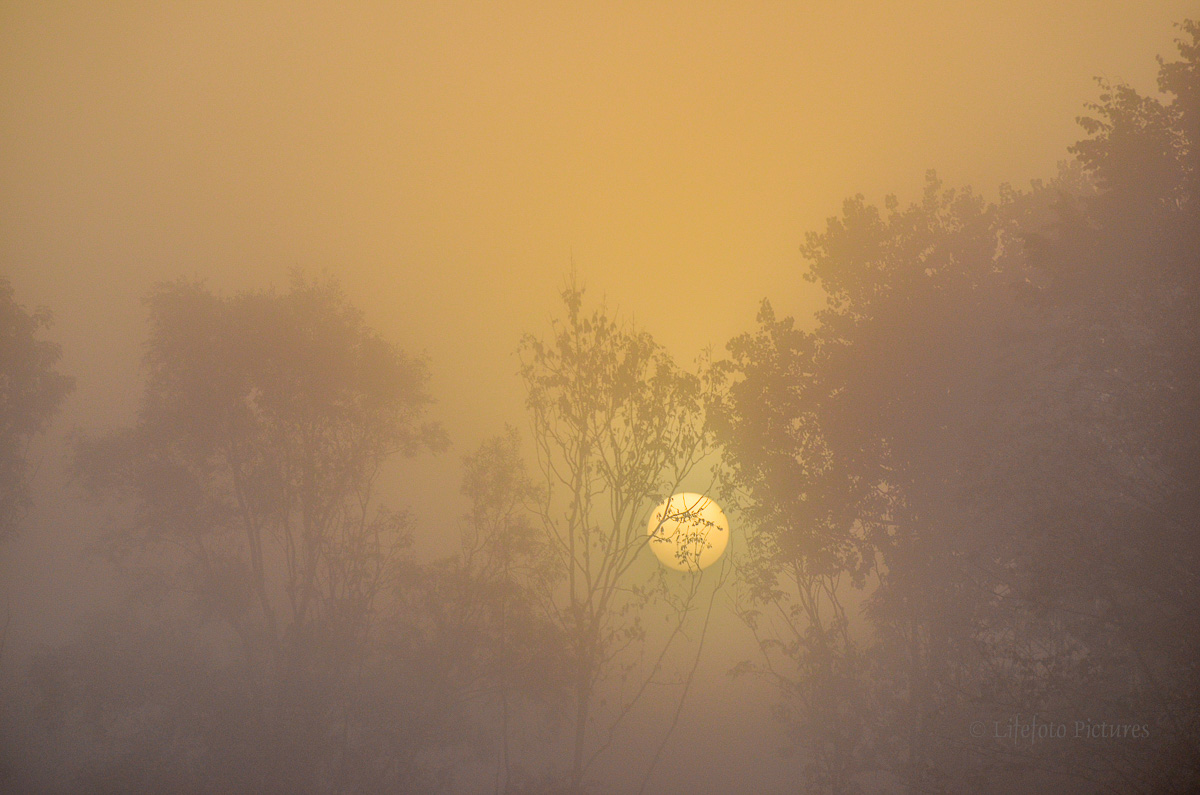 Sonne kommt durch den Nebel