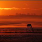 Sonne kontra Nebel