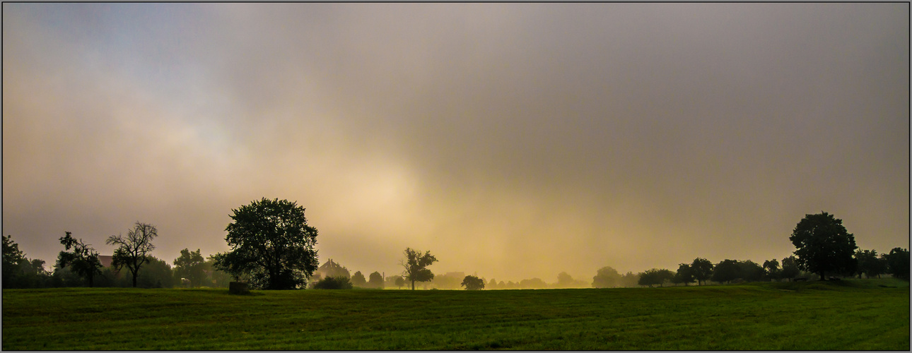 Sonne kontra Nebel