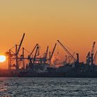 Sonne küsst Containerbrücke