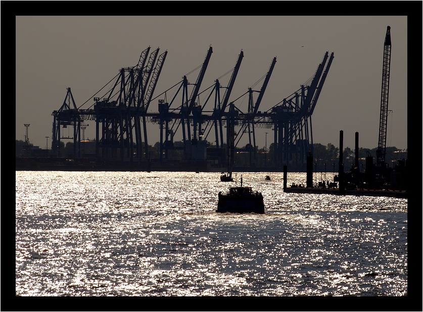 Sonne küsst Elbe