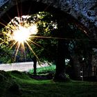 Sonne küsst Kapellenruine wach