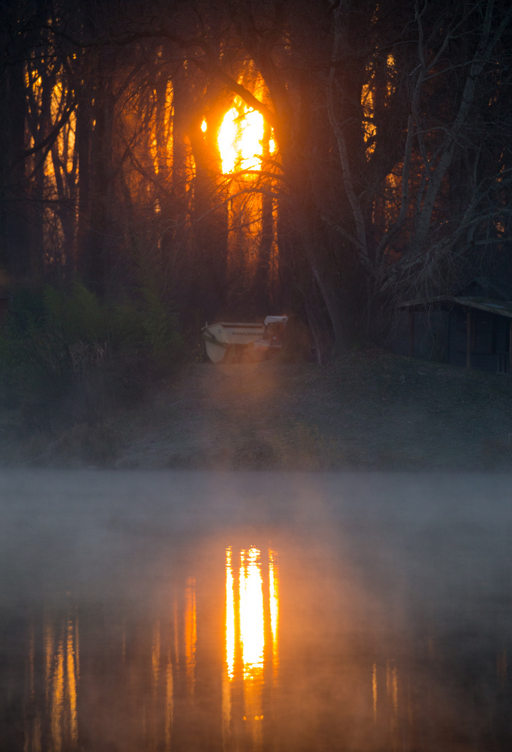 Sonne küsst Nebel