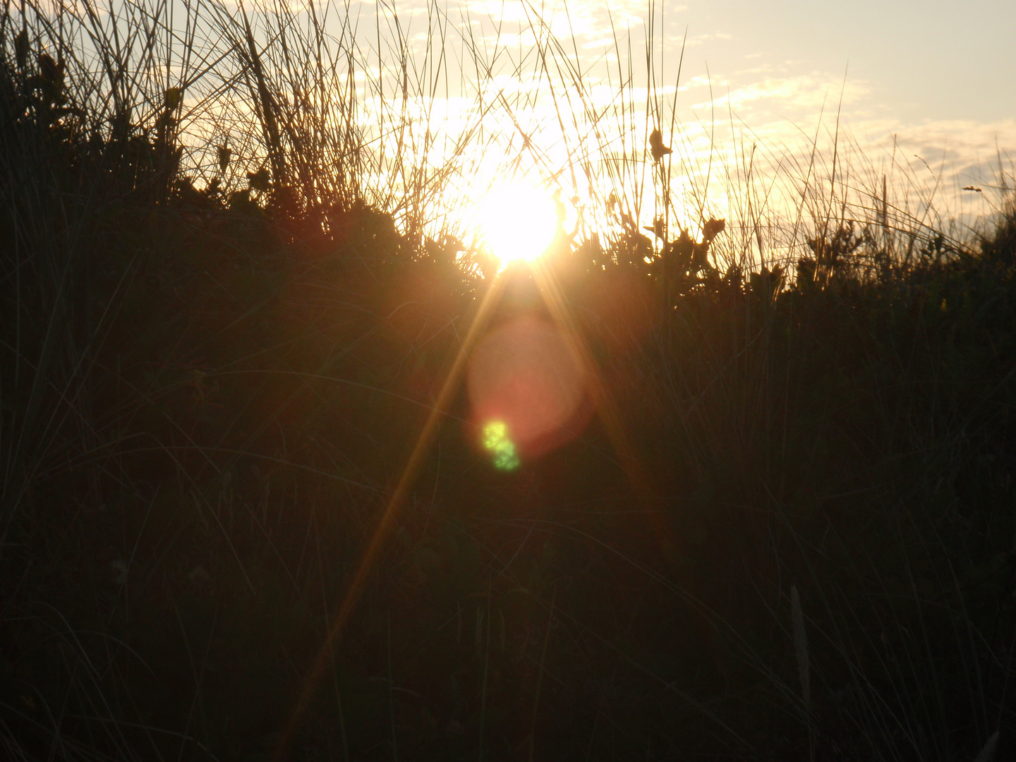 Sonne kurz vorm Untergang