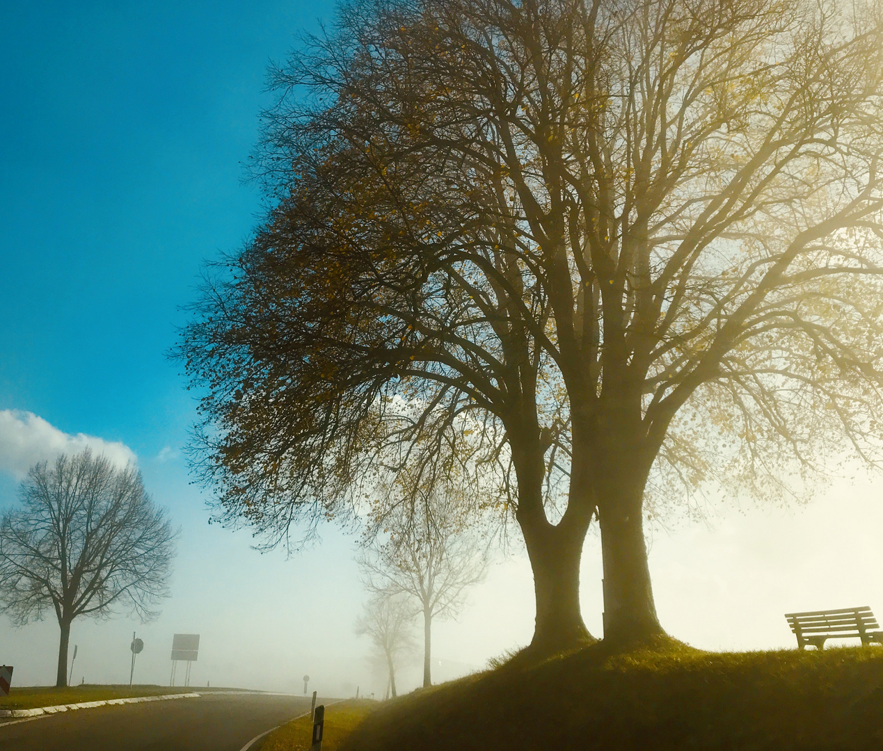 Sonne lichtet den Nebel