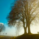 Sonne lichtet den Nebel