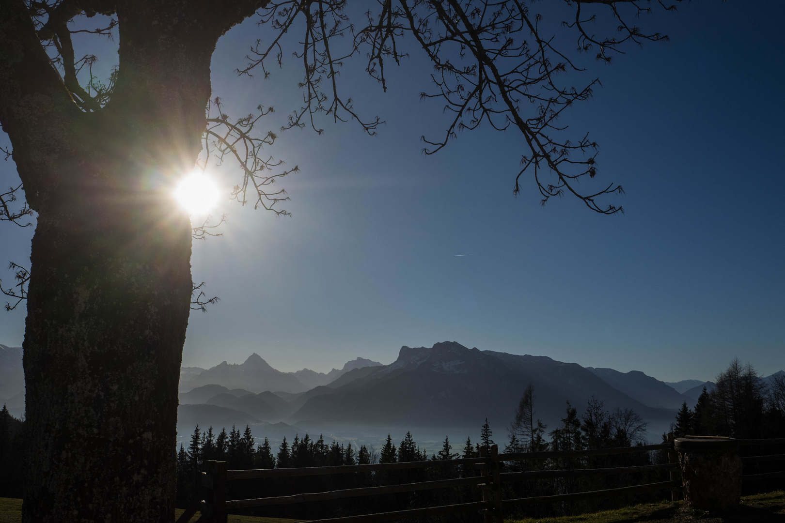 Sonne lugt hinter Baum hervor