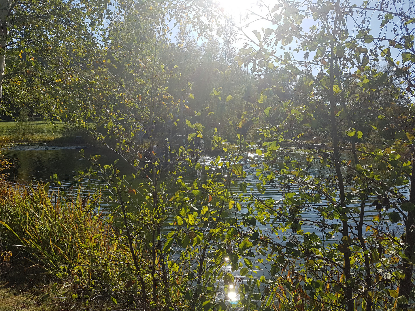 Sonne macht glücklich