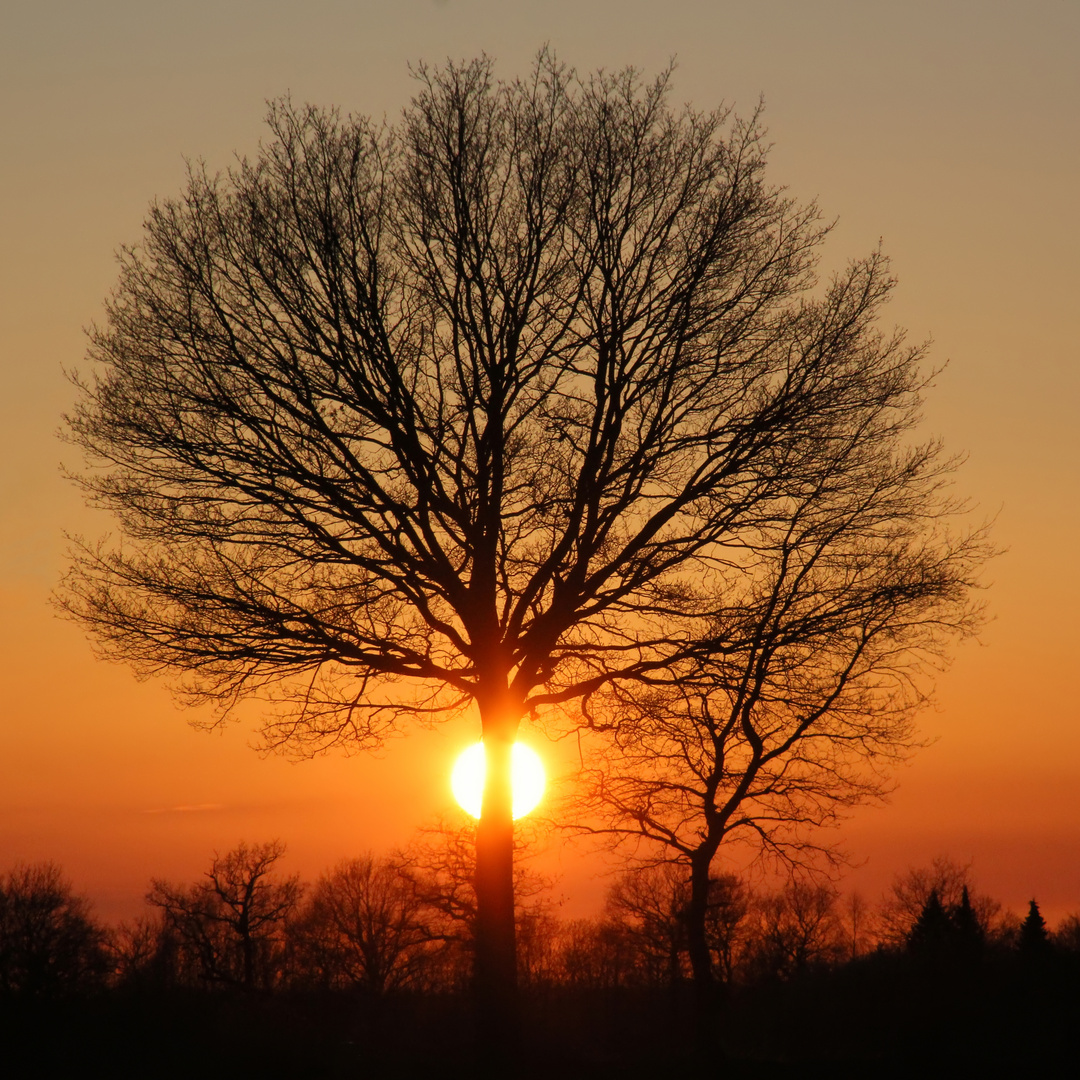 Sonne macht (manchmal) schlanke Taille