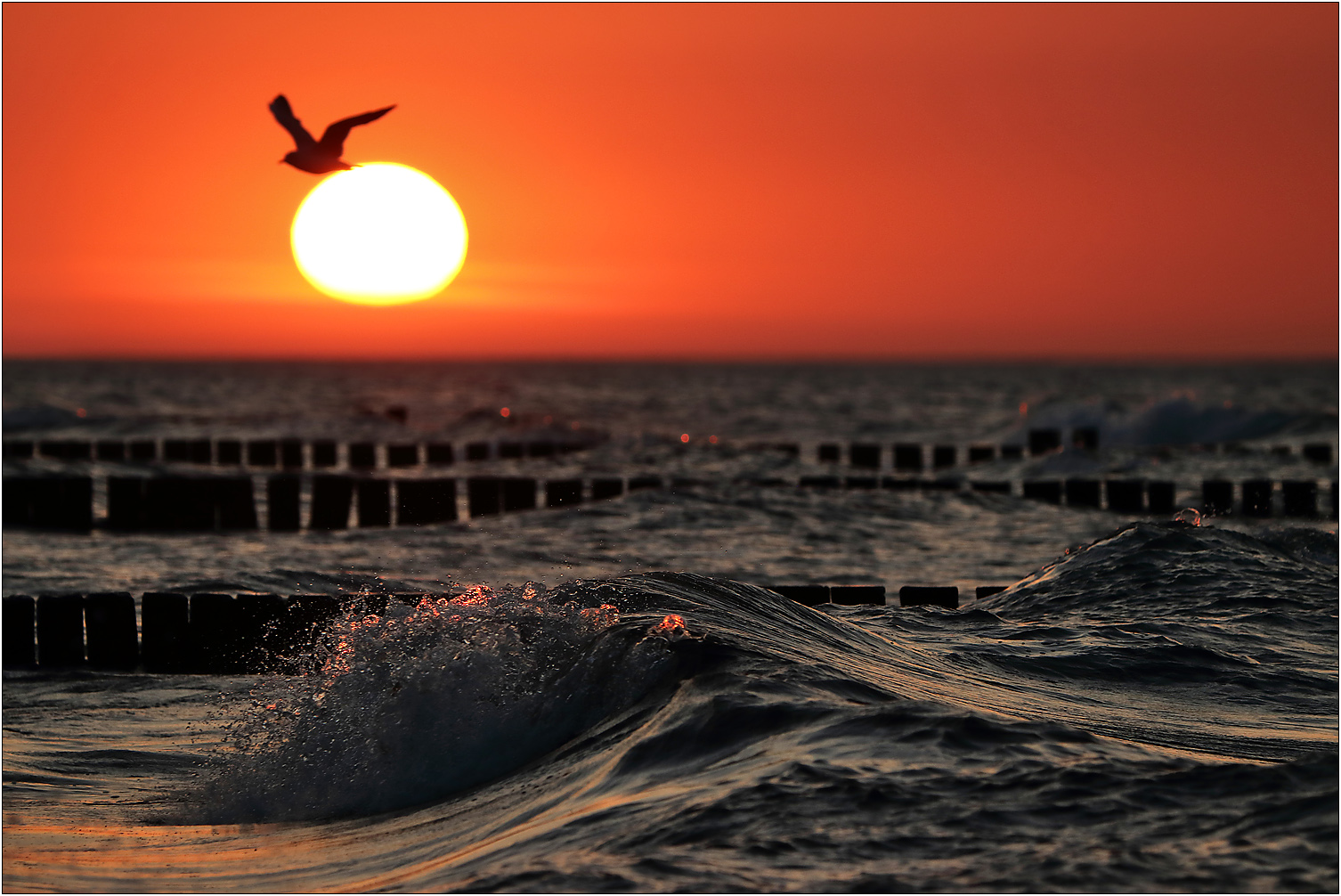 Sonne, Meer und Möwe...