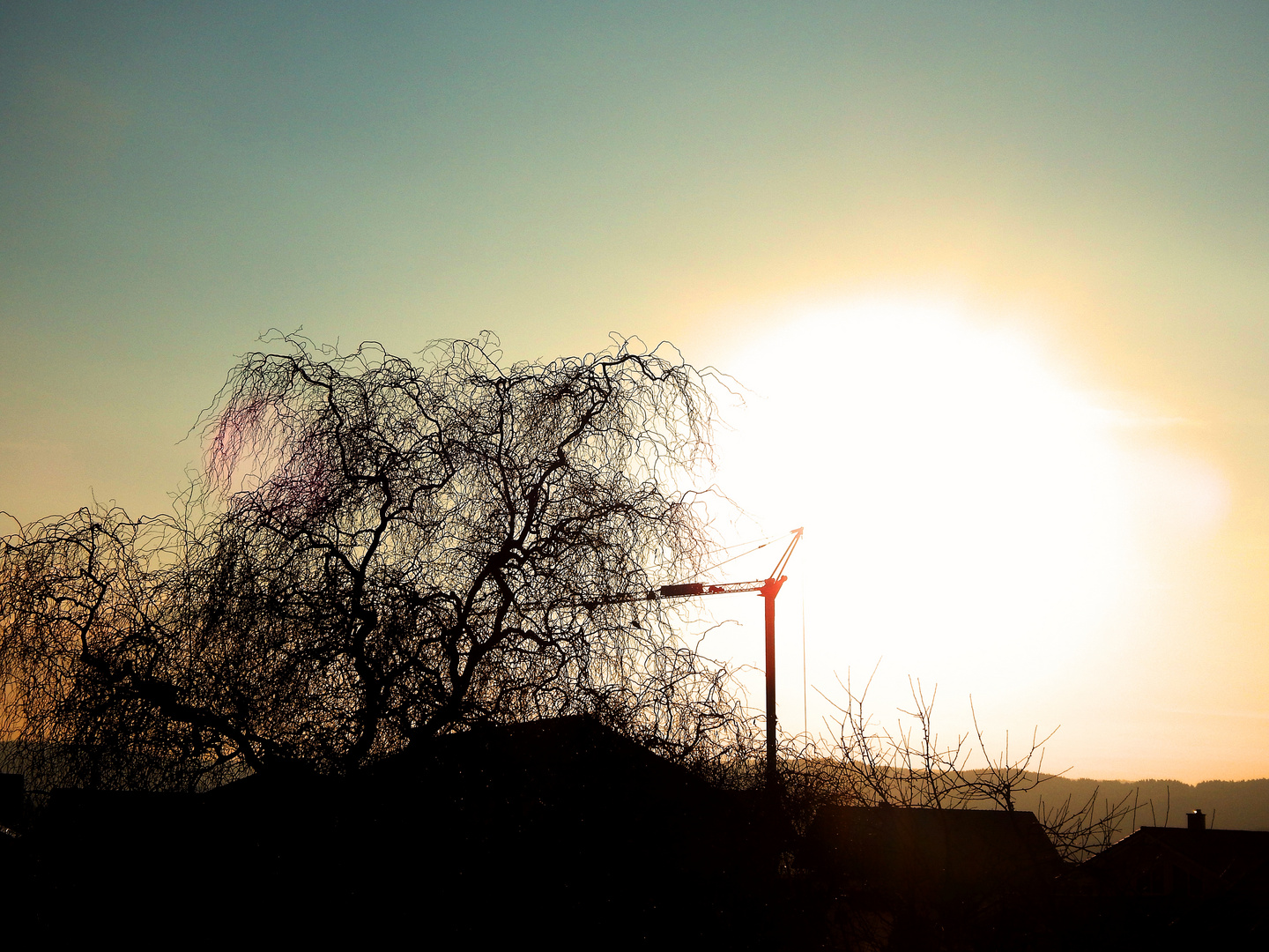 Sonne mit Baum