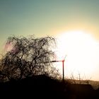 Sonne mit Baum