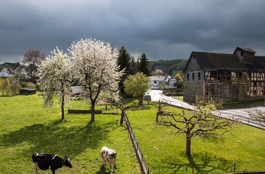 ... Sonne mit dunklen Wolken im April ...