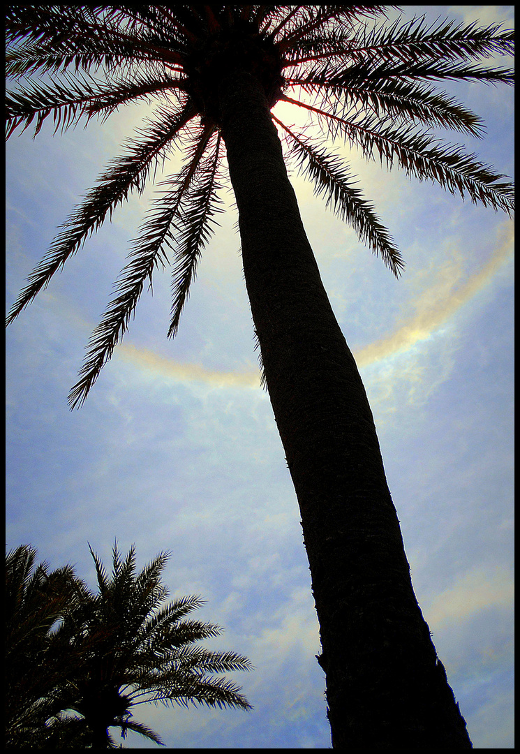  Sonne mit kreisrundem Regenbogen...Wer hat so etwas schon einmal gesehen..???