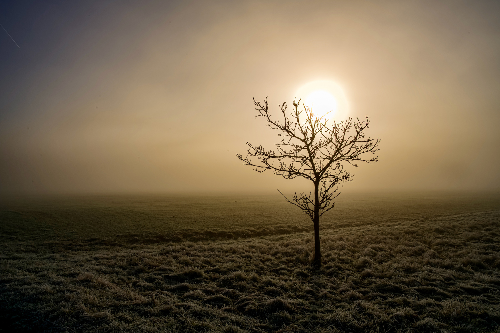 Sonne mit Morgennebel