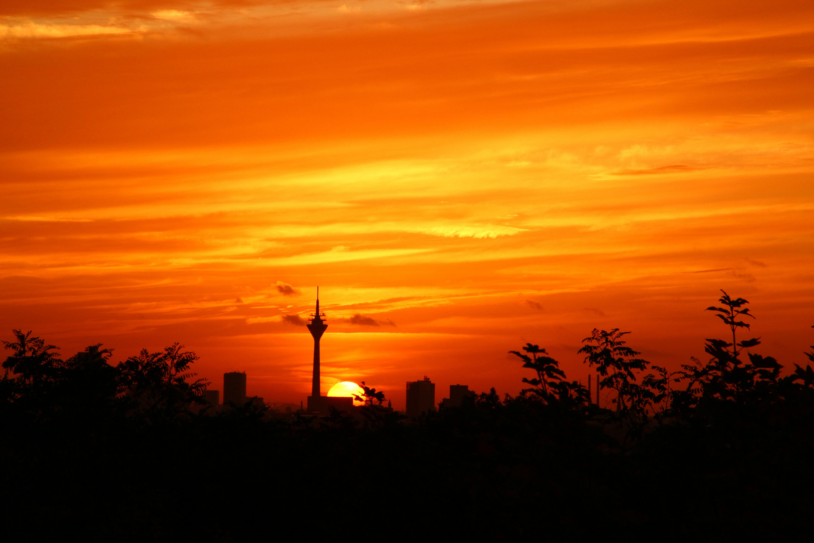 Sonne mit Rheinturm