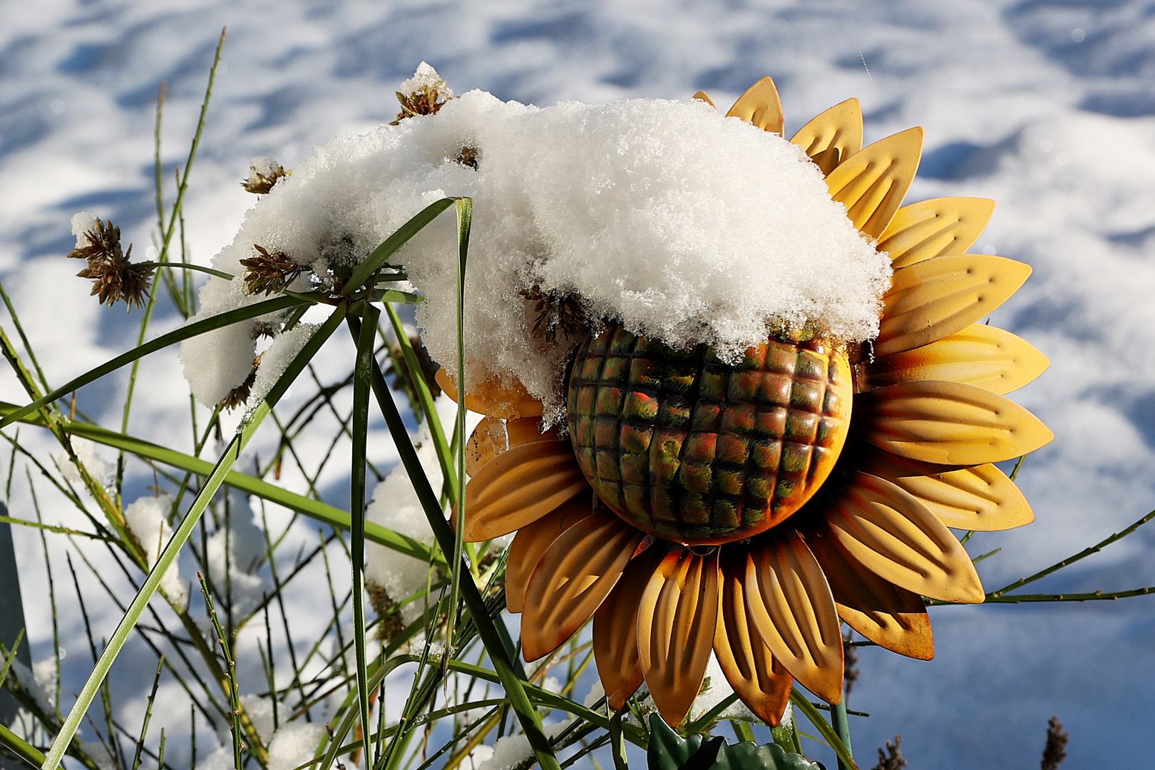 Sonne mit Schneehaube