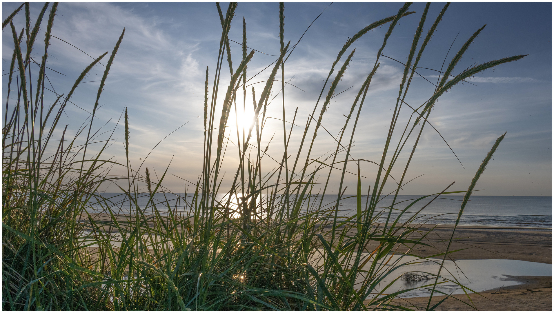 Sonne mittig durchs Gras
