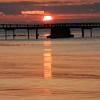 Sonne-Möwe-Spiegelung im Wasser