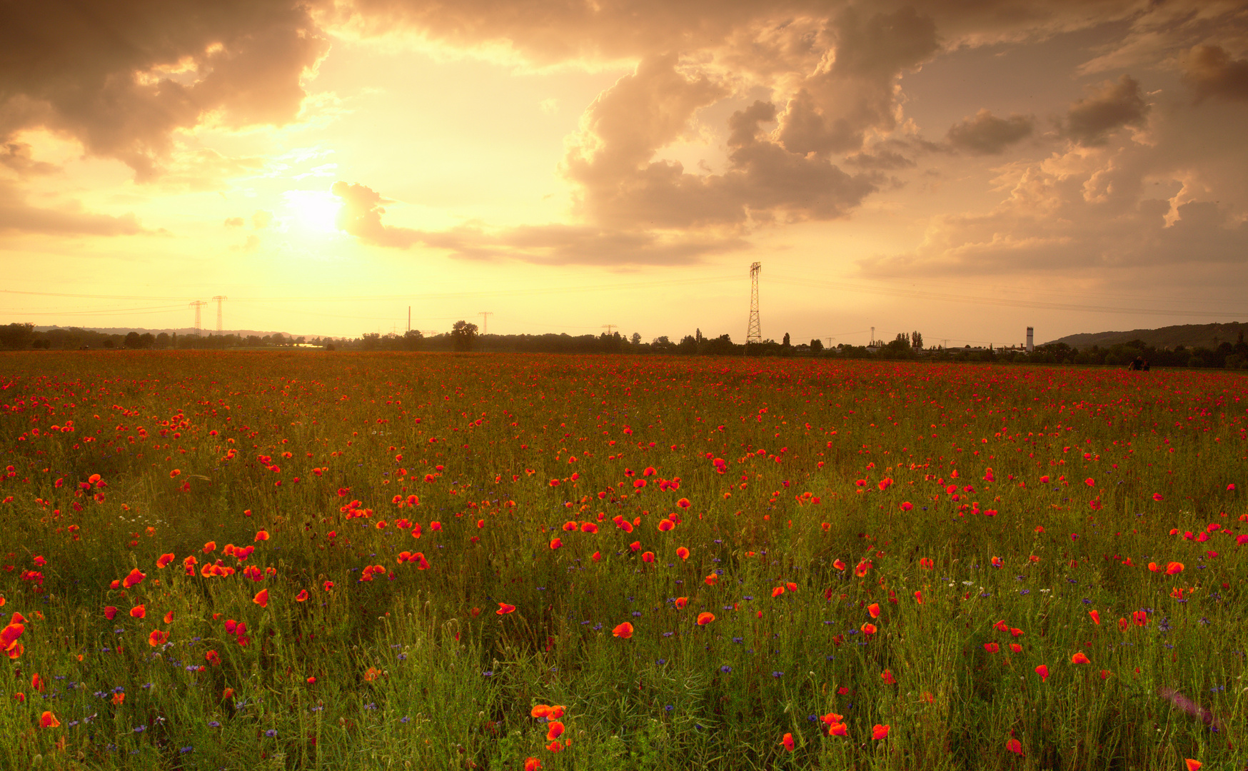 Sonne, Mohn und Wolken