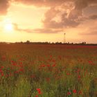 Sonne, Mohn und Wolken