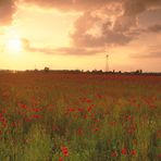 Sonne, Mohn und Wolken