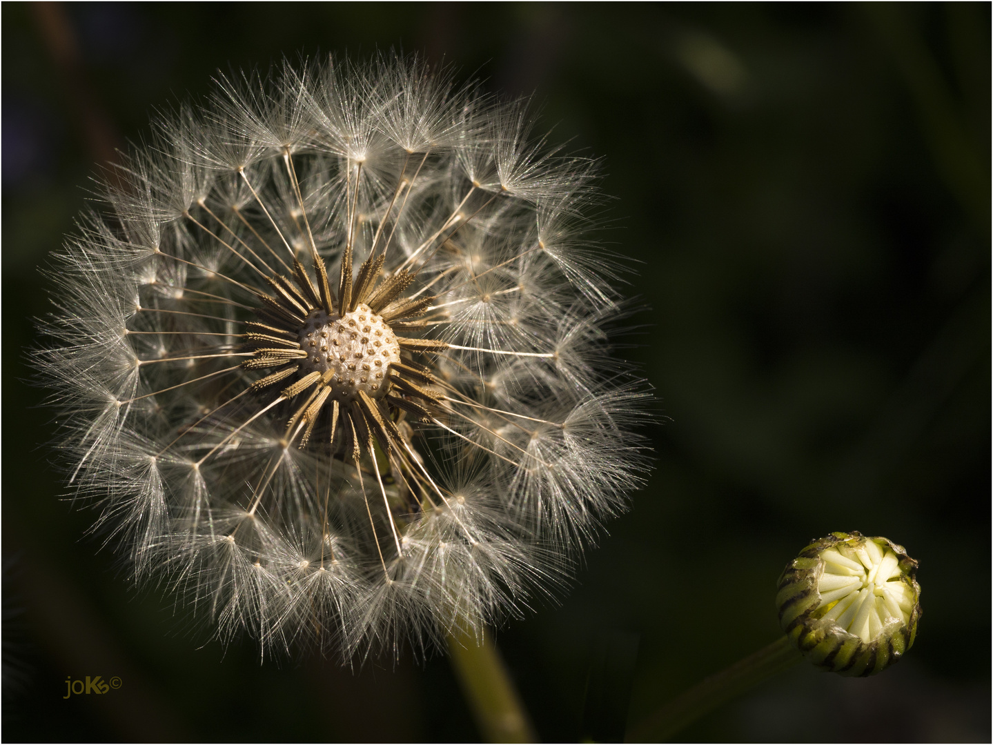 Sonne, Mond und Sterne