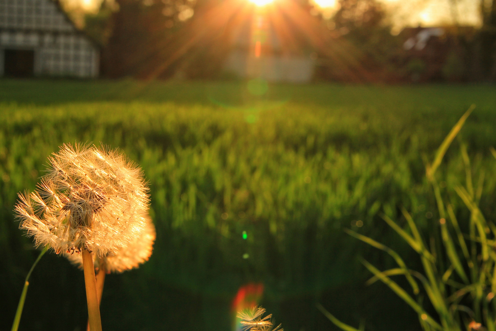 Sonne nach dem Regen