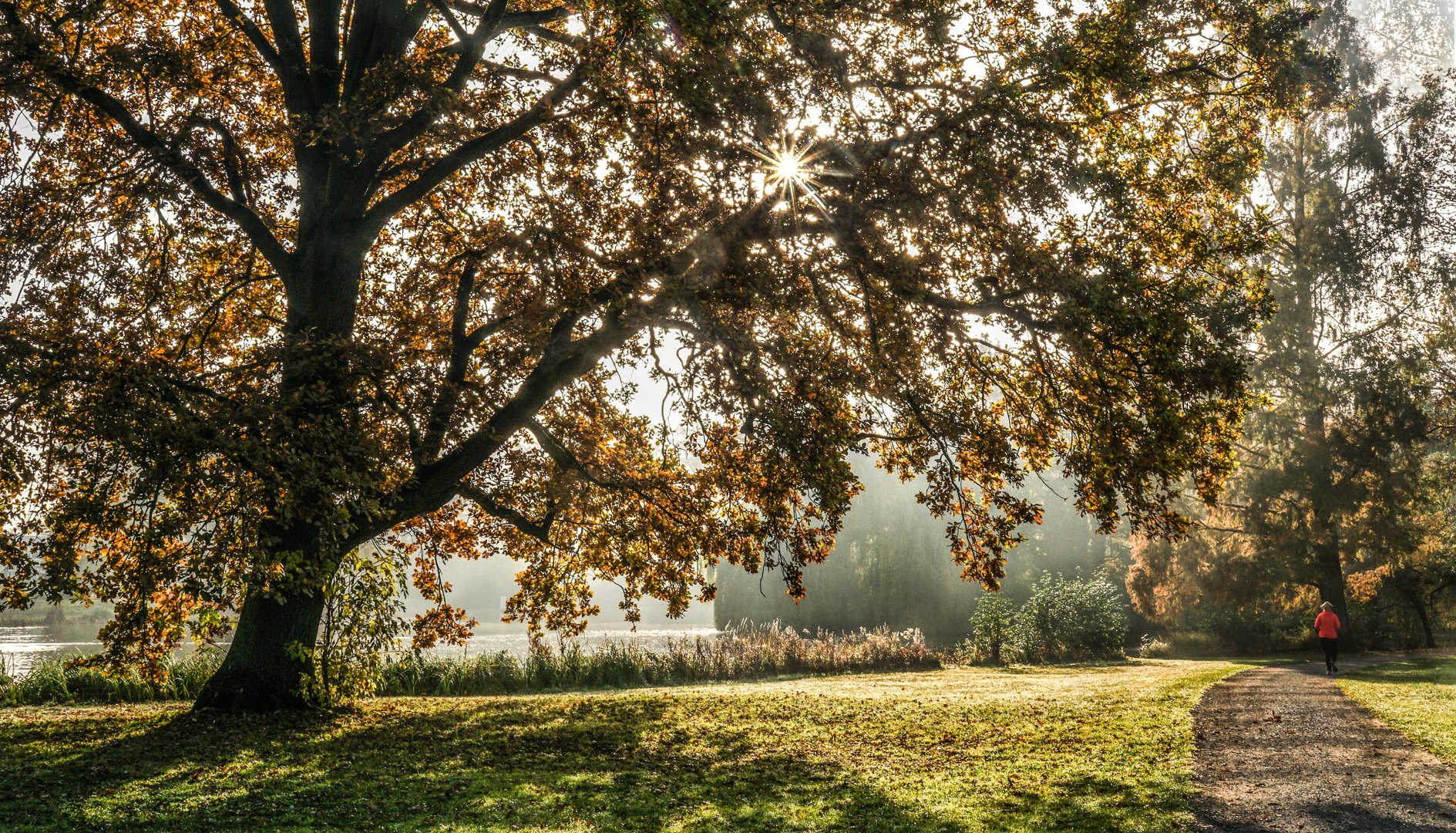 Sonne nach Nebel