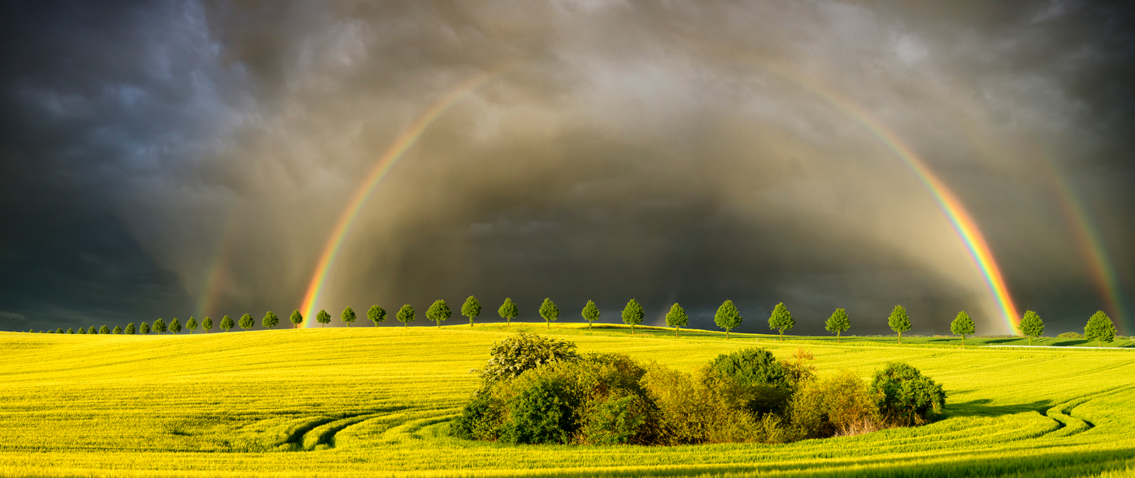 Sonne nach Regenfällen