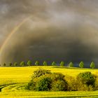 Sonne nach Regenfällen