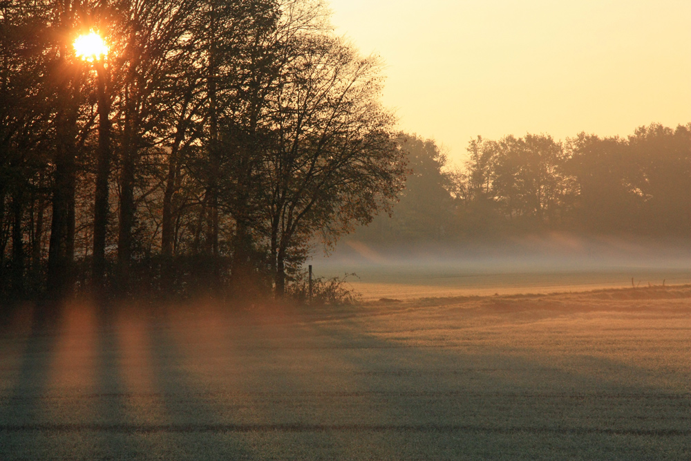 Sonne + Nebel (1)