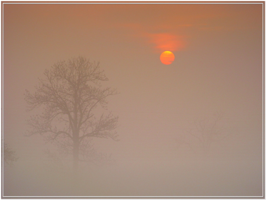 Sonne & Nebel