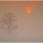 Sonne & Nebel