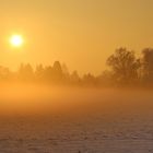 Sonne & Nebel...