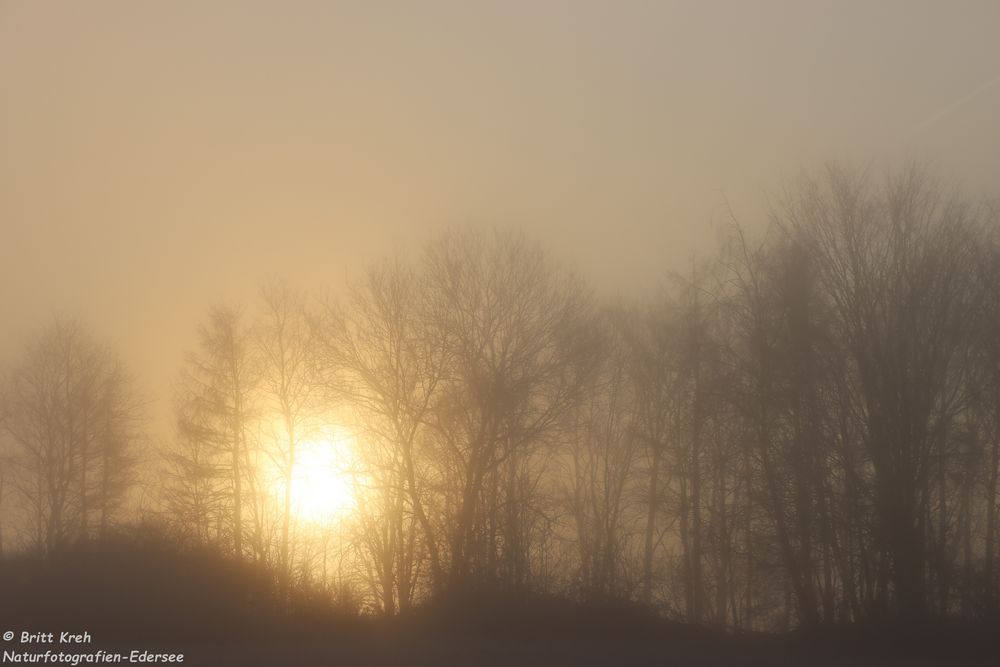 Sonne & Nebel