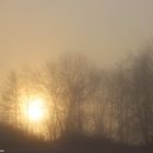 Sonne & Nebel