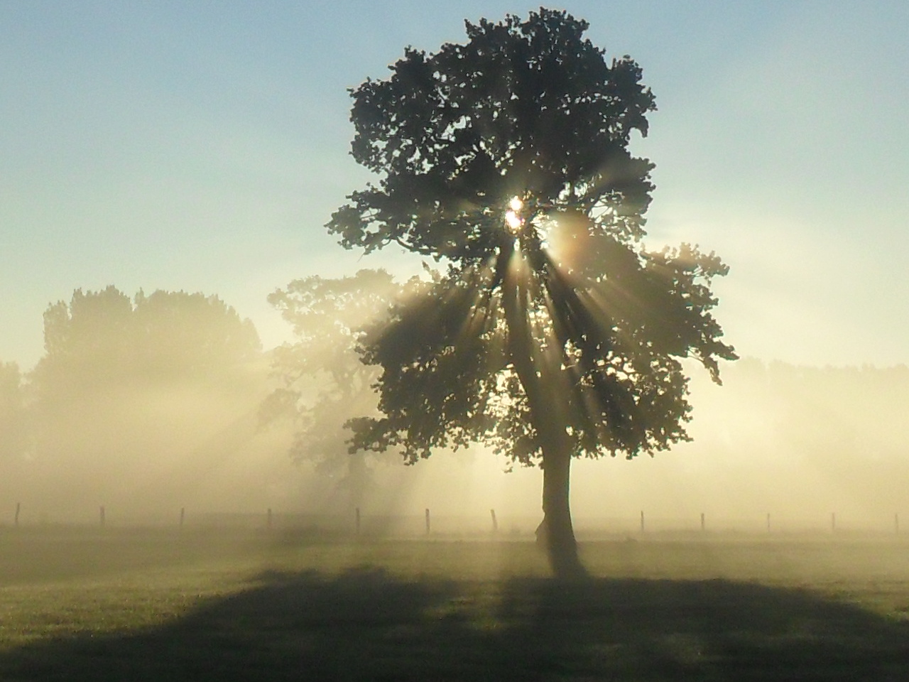 Sonne & Nebel