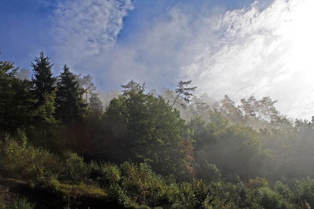 Sonne-Nebel Fahrt von Burg Teck nach Ulm Sa. 19.9.15