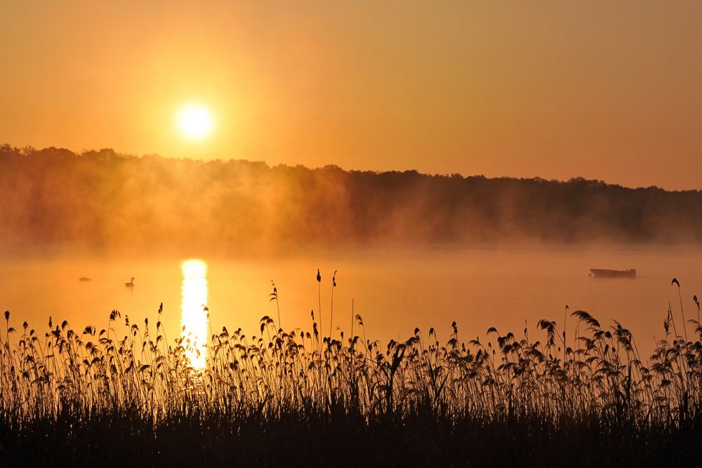 Sonne + Nebel....