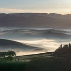 Sonne, Nebel, Glück