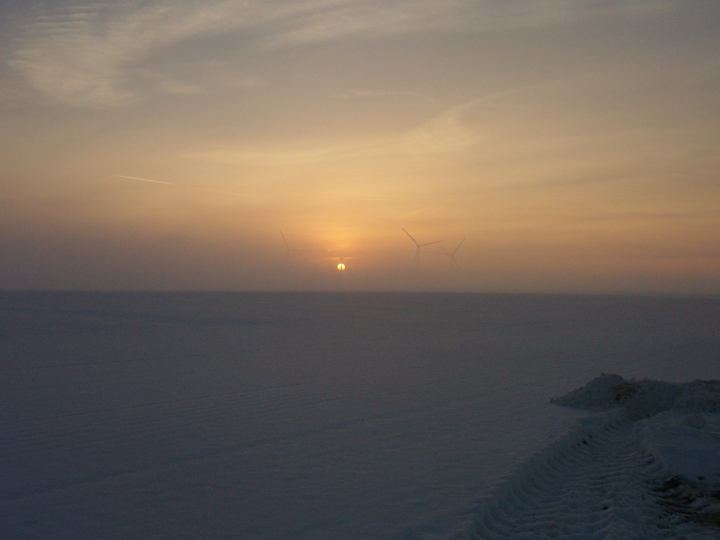 sonne nebel gute nacht