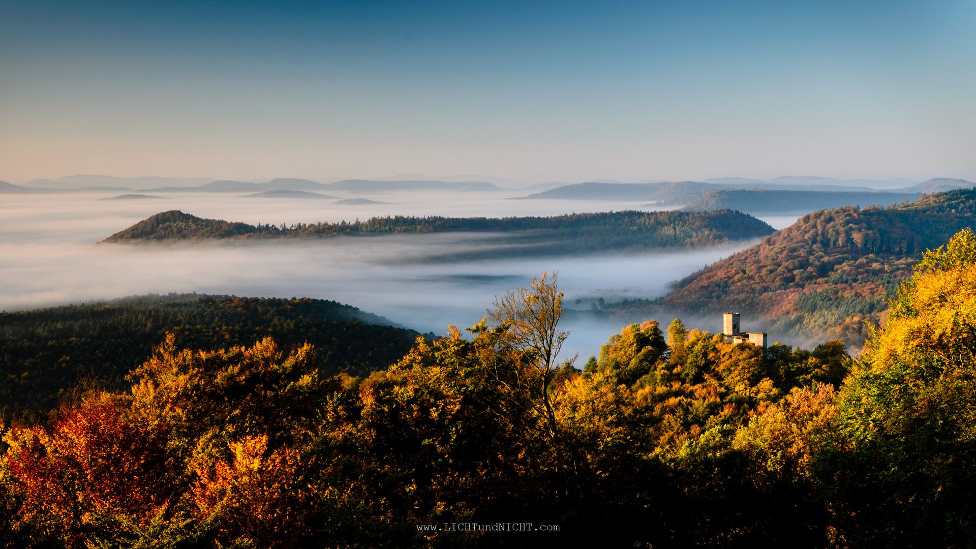 Sonne | Nebel | Herbst