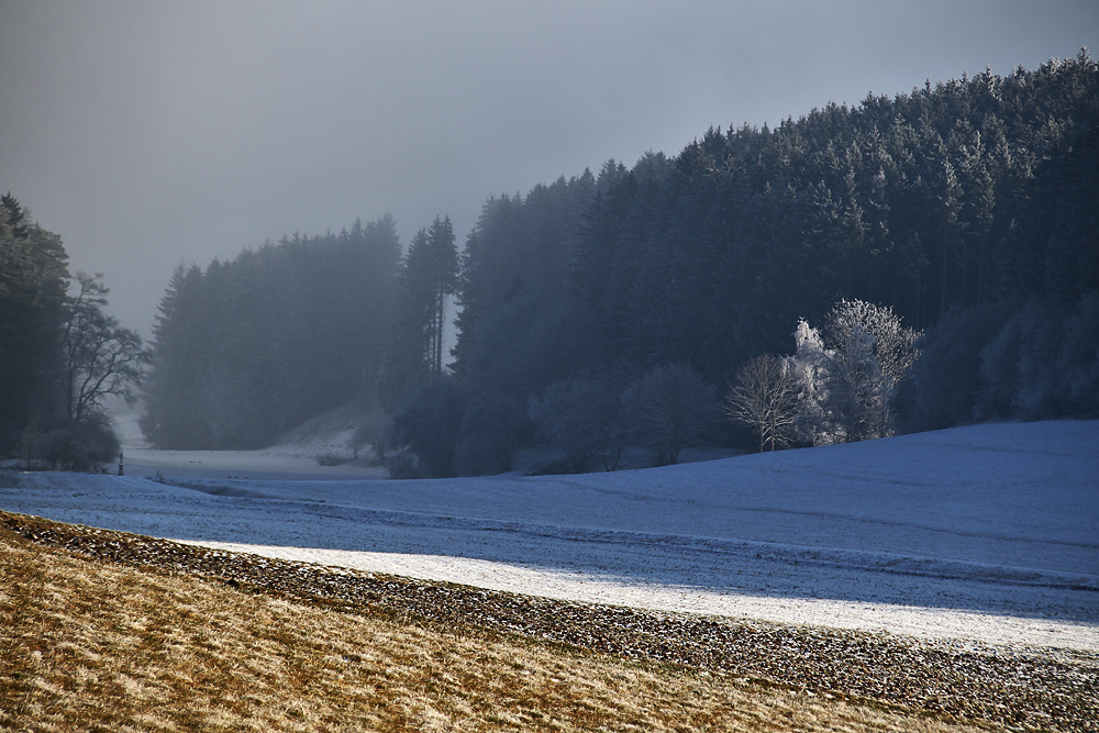 Sonne, Nebel, Licht und Schatten...