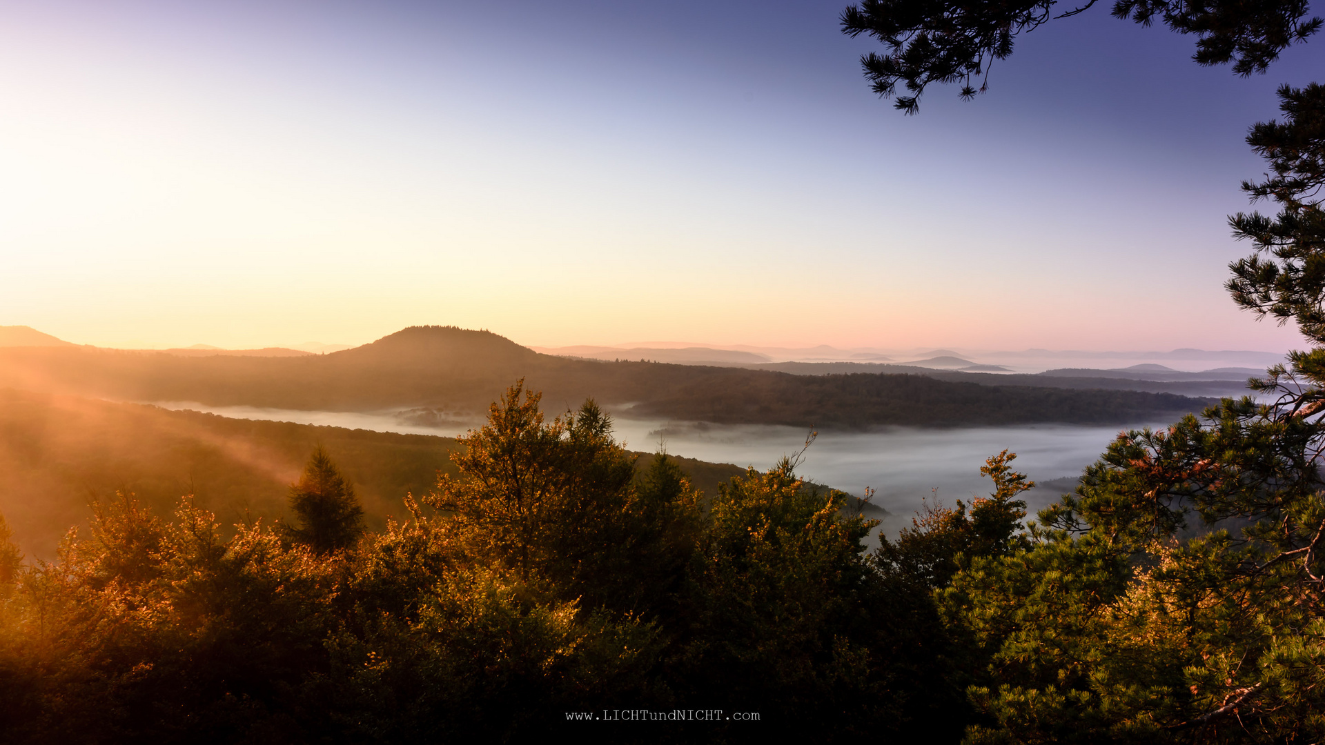 Sonne | Nebel | Pfälzerwald