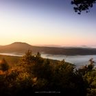 Sonne | Nebel | Pfälzerwald